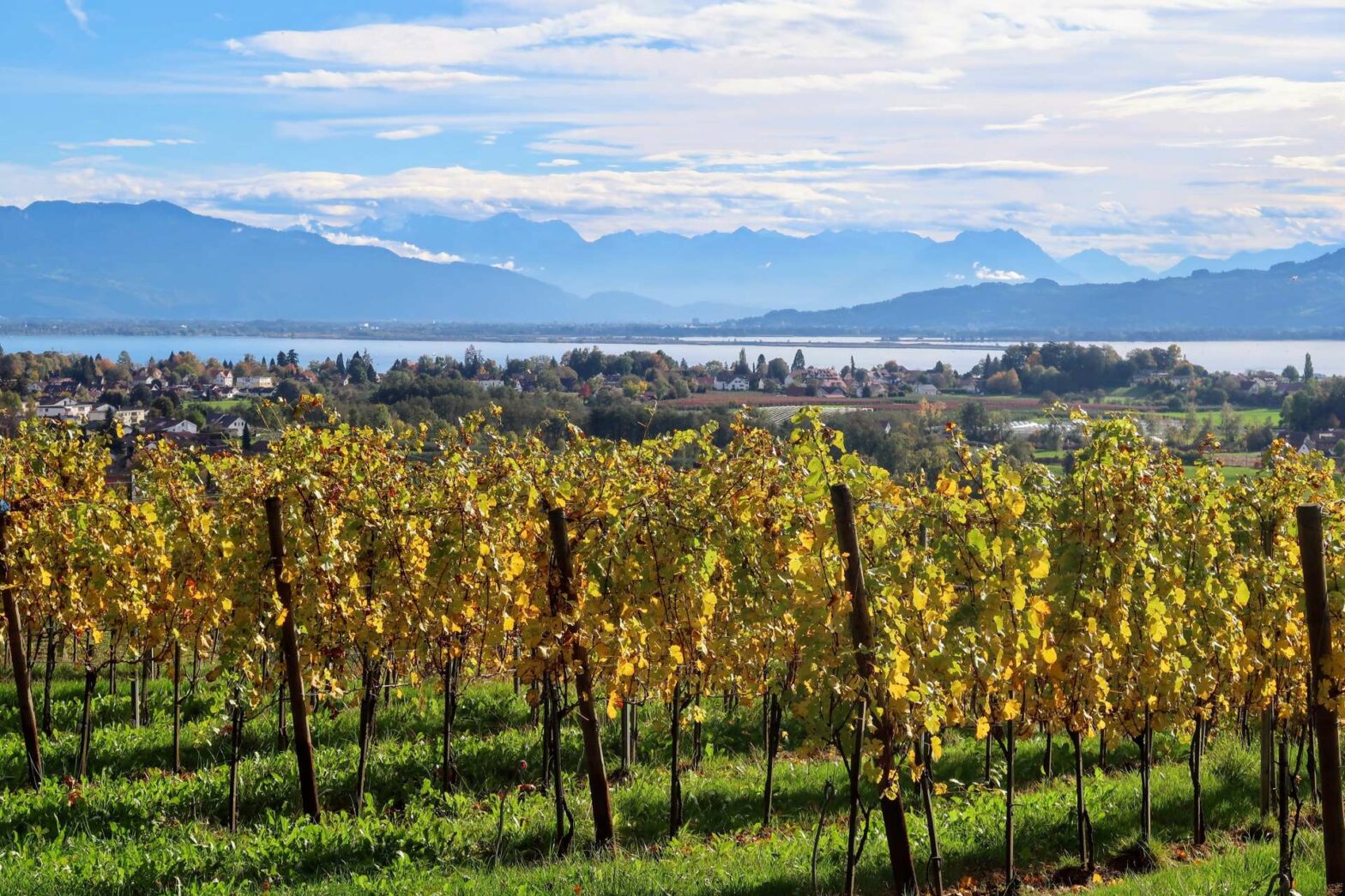 Lindau Four Hills Walk with views over Lake Constance