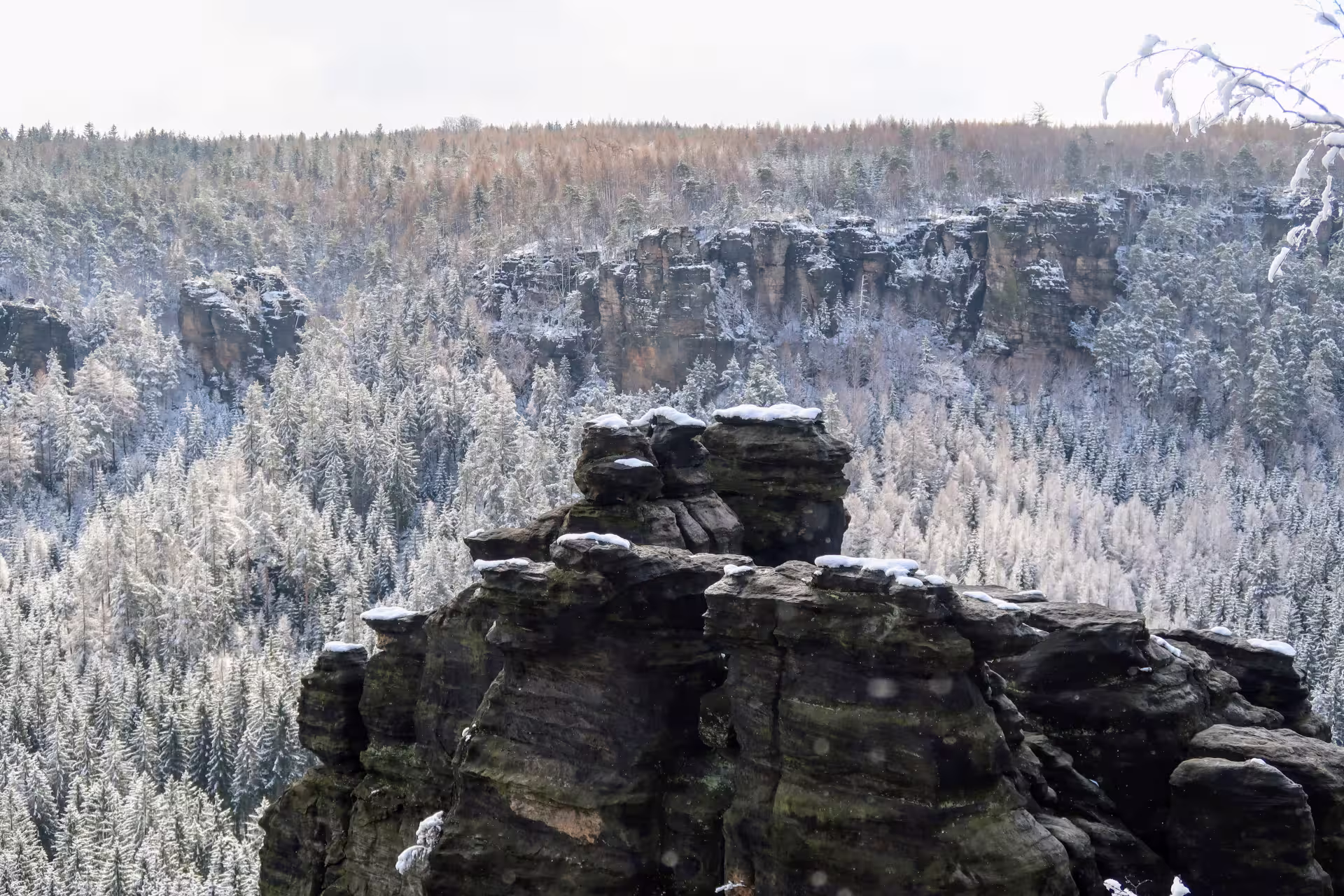 Walking from Tisa Rocks to Děčínský Sněžník along the German-Czech border