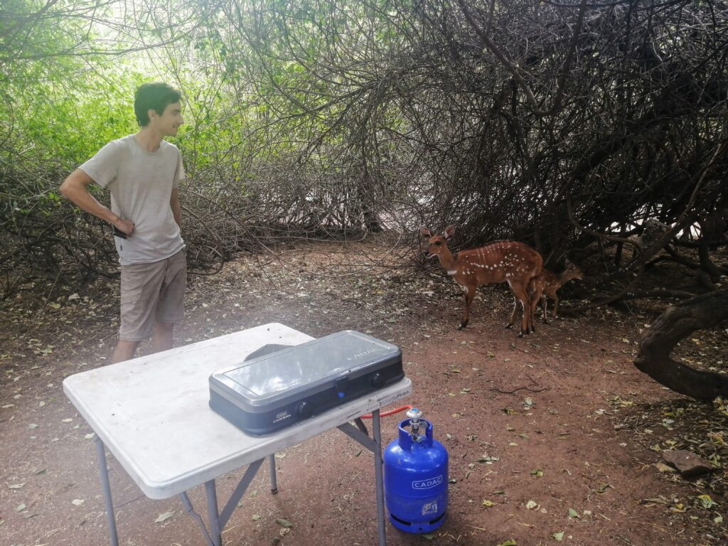 Camping at Chobe Safari Lodge in Botswana