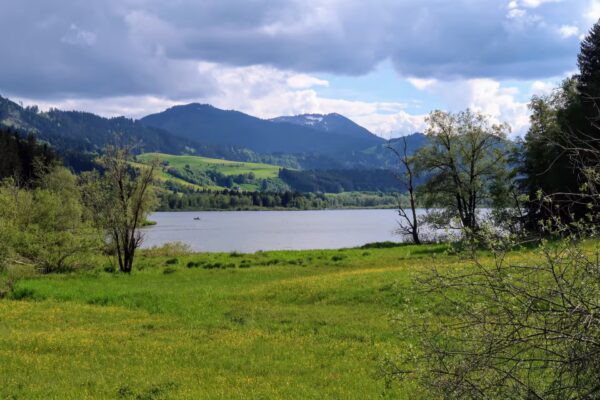 Grüntensee Lake Walk