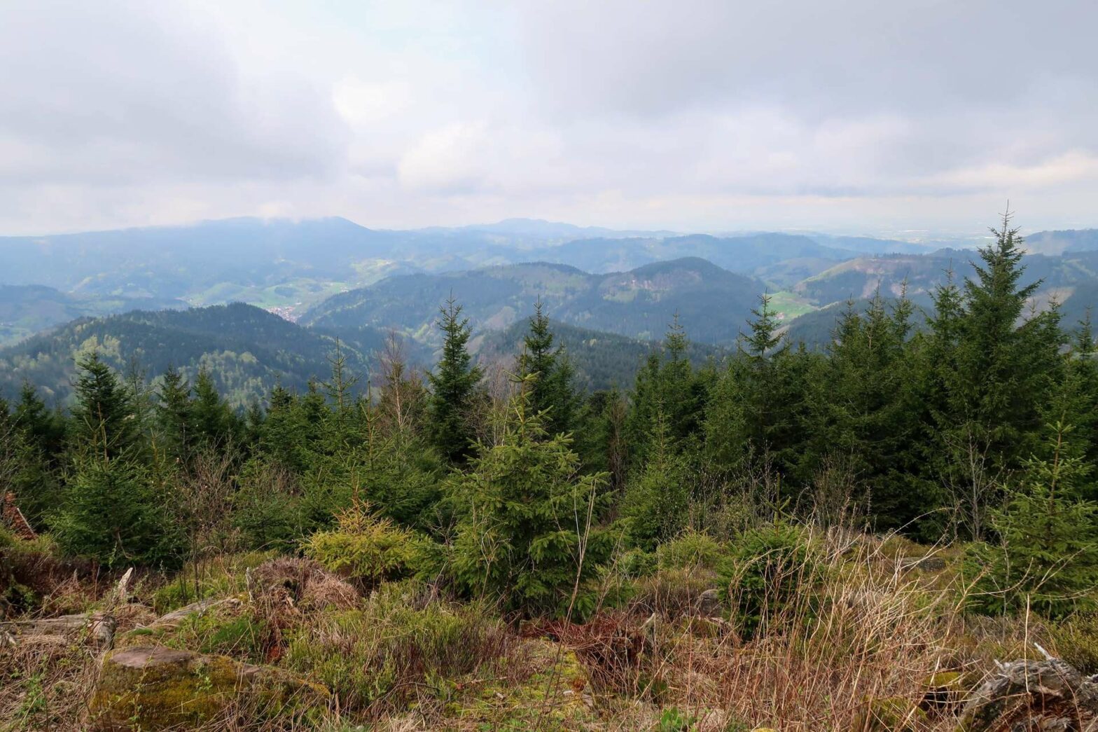 Views from the Panorama Route in the Black Forest