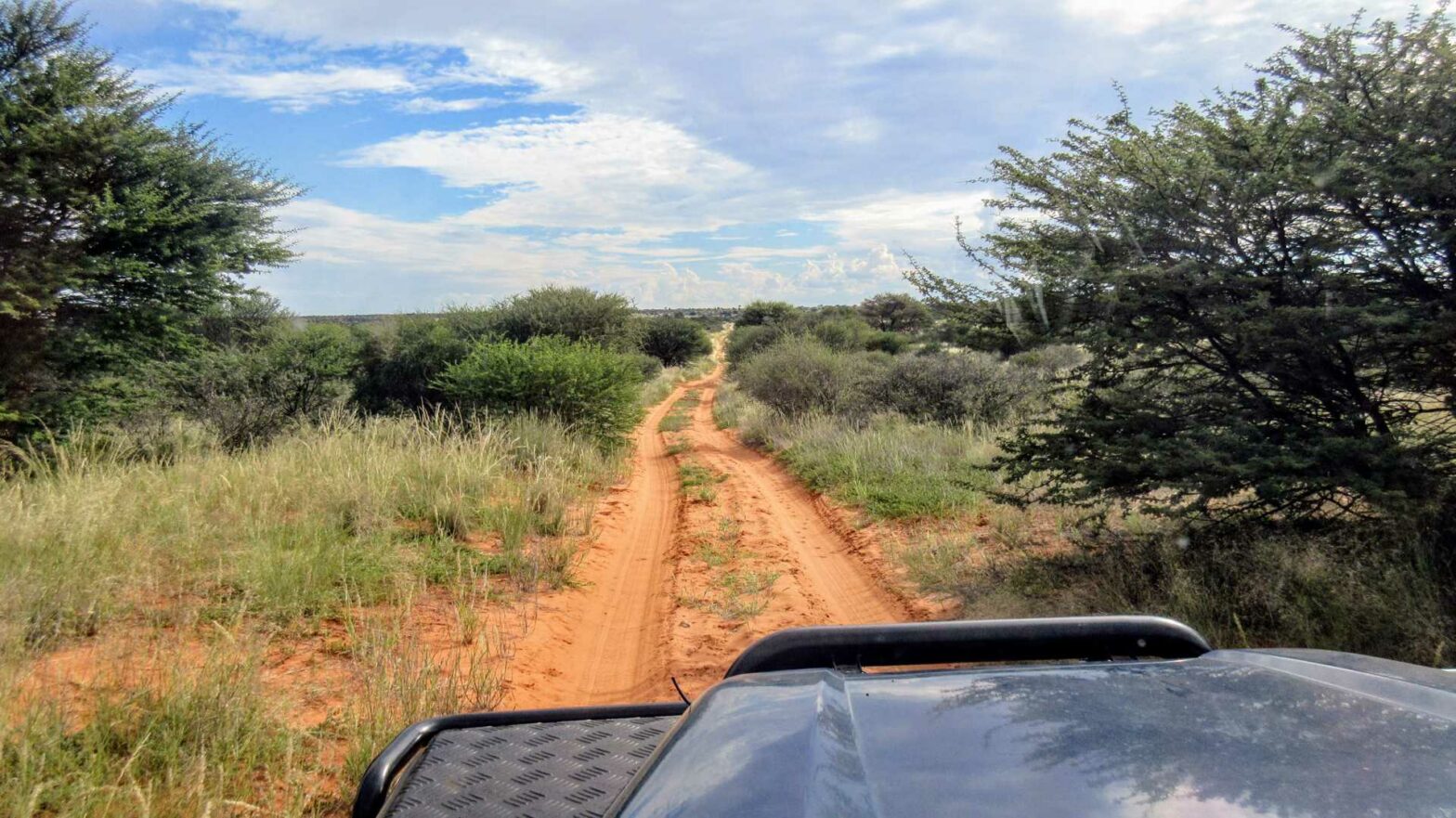 Botswana Road Trip