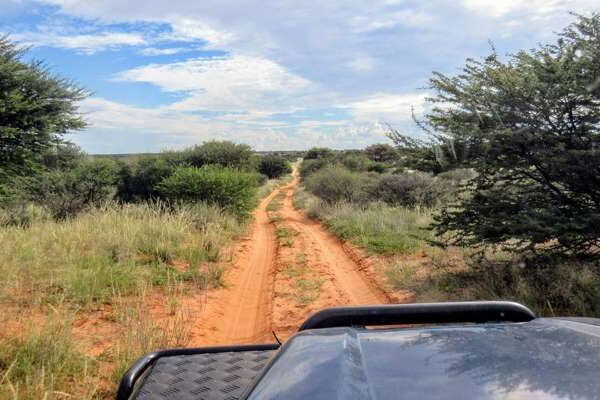 One Month Botswana Road Trip