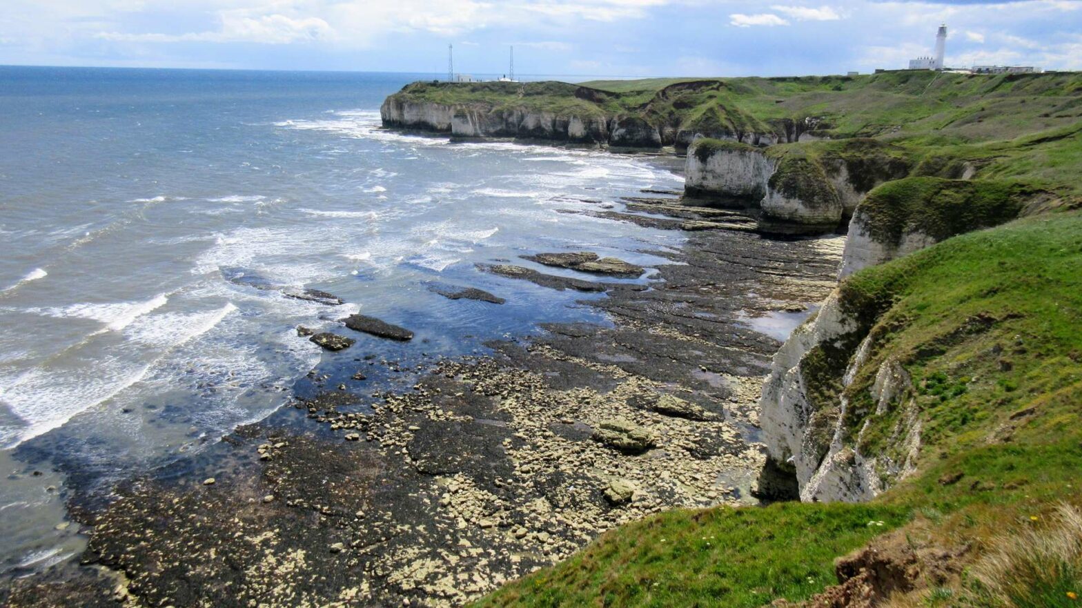 Cliffs at Flamborough Head