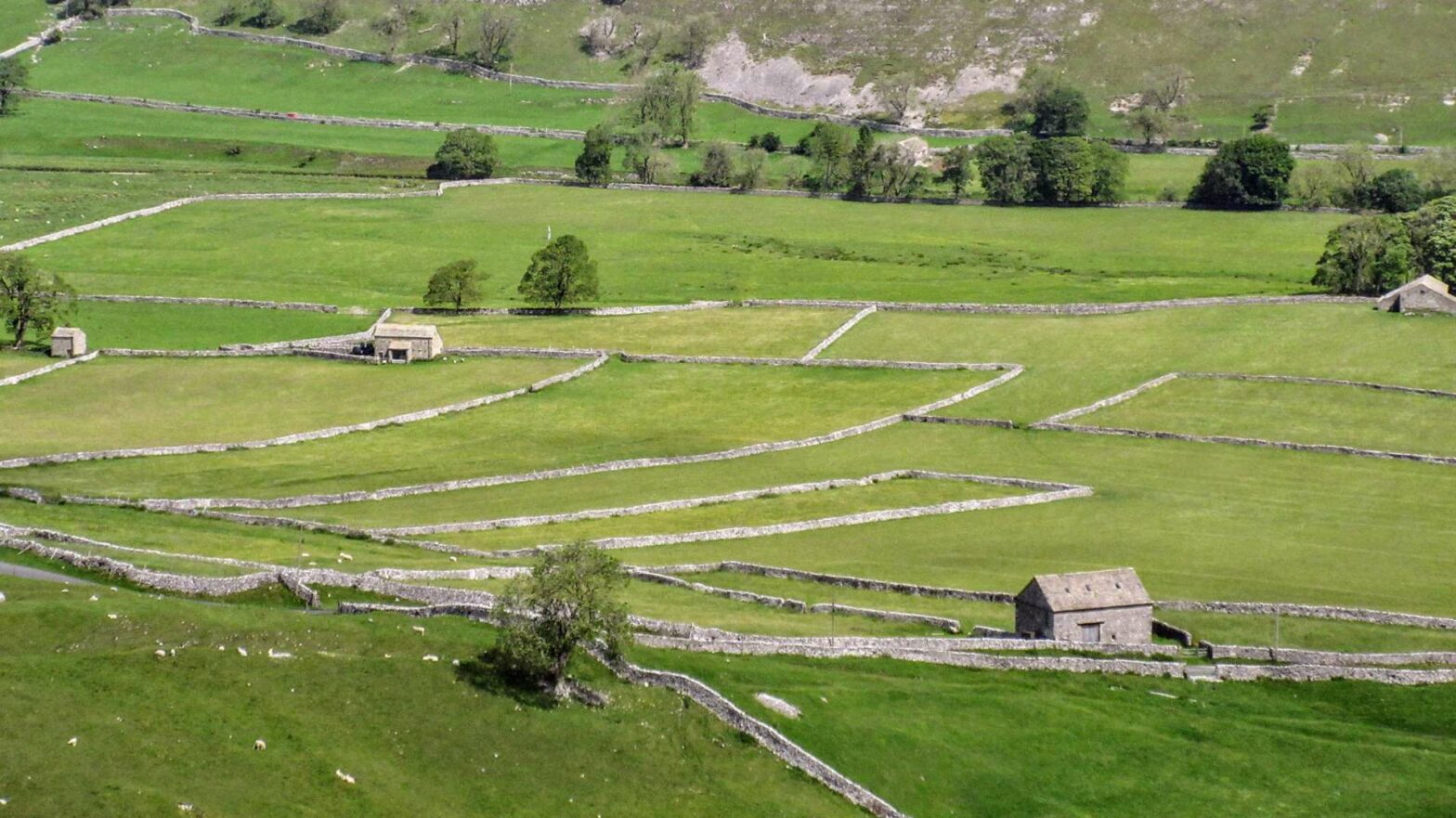 Littondale in the Yorkshire Dales