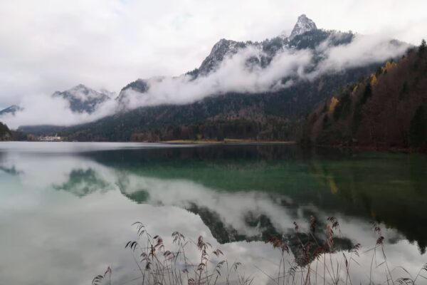 Alpsee Lake Walk