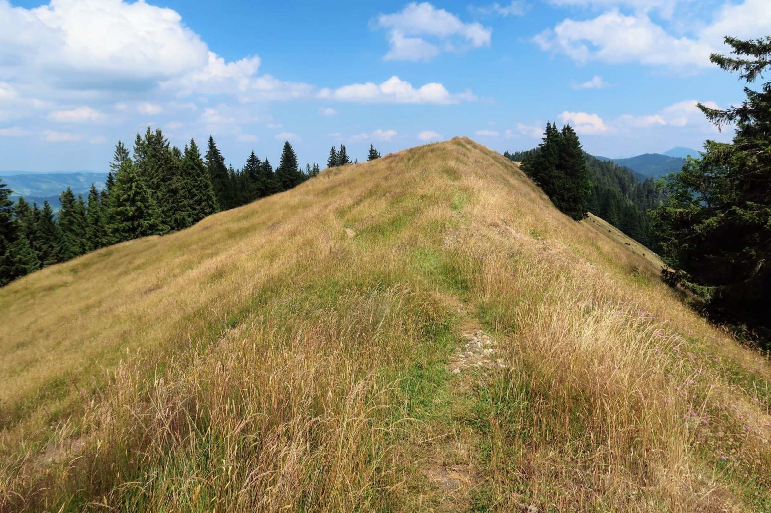 Oberstaufen to Immenstadt Ridge