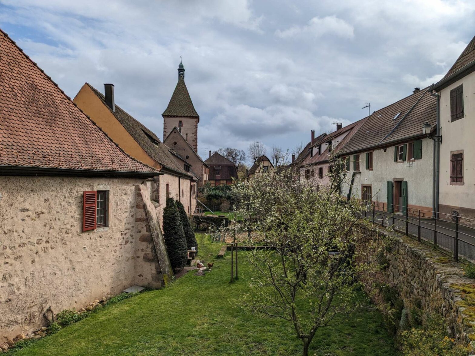 Bergheim Ramparts in Alsace