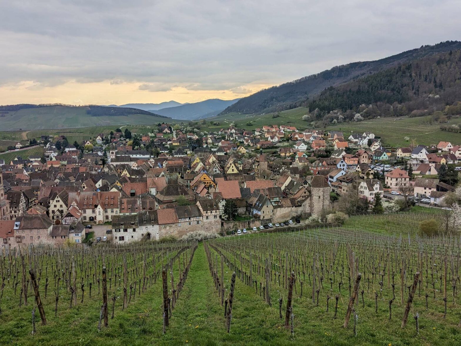 Riquewihr village in Alsace