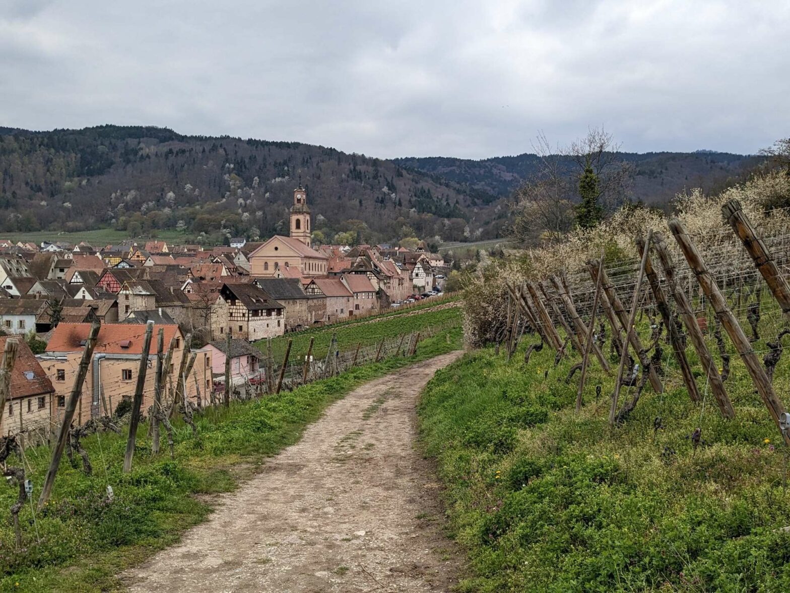 A walking route in Alsace, France
