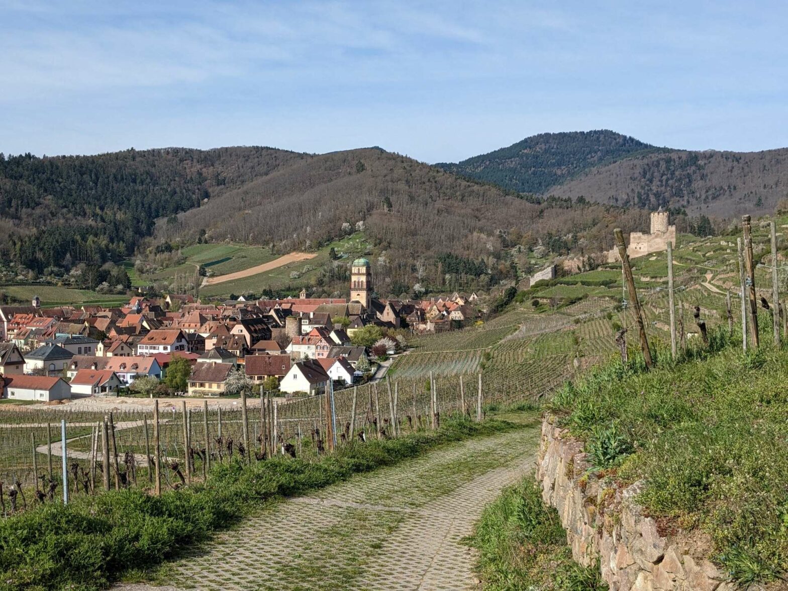 View of Kayserberg and the Château de Kaysersberg