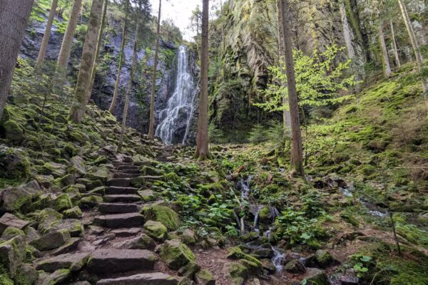 Burgbachwasserfall Walk