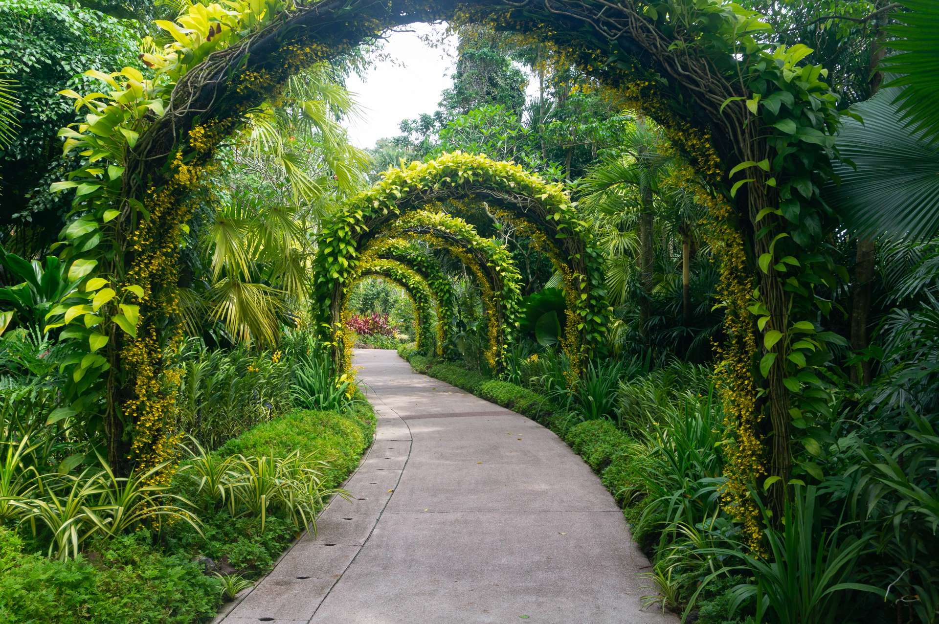 Singapore Botanic Gardens Map