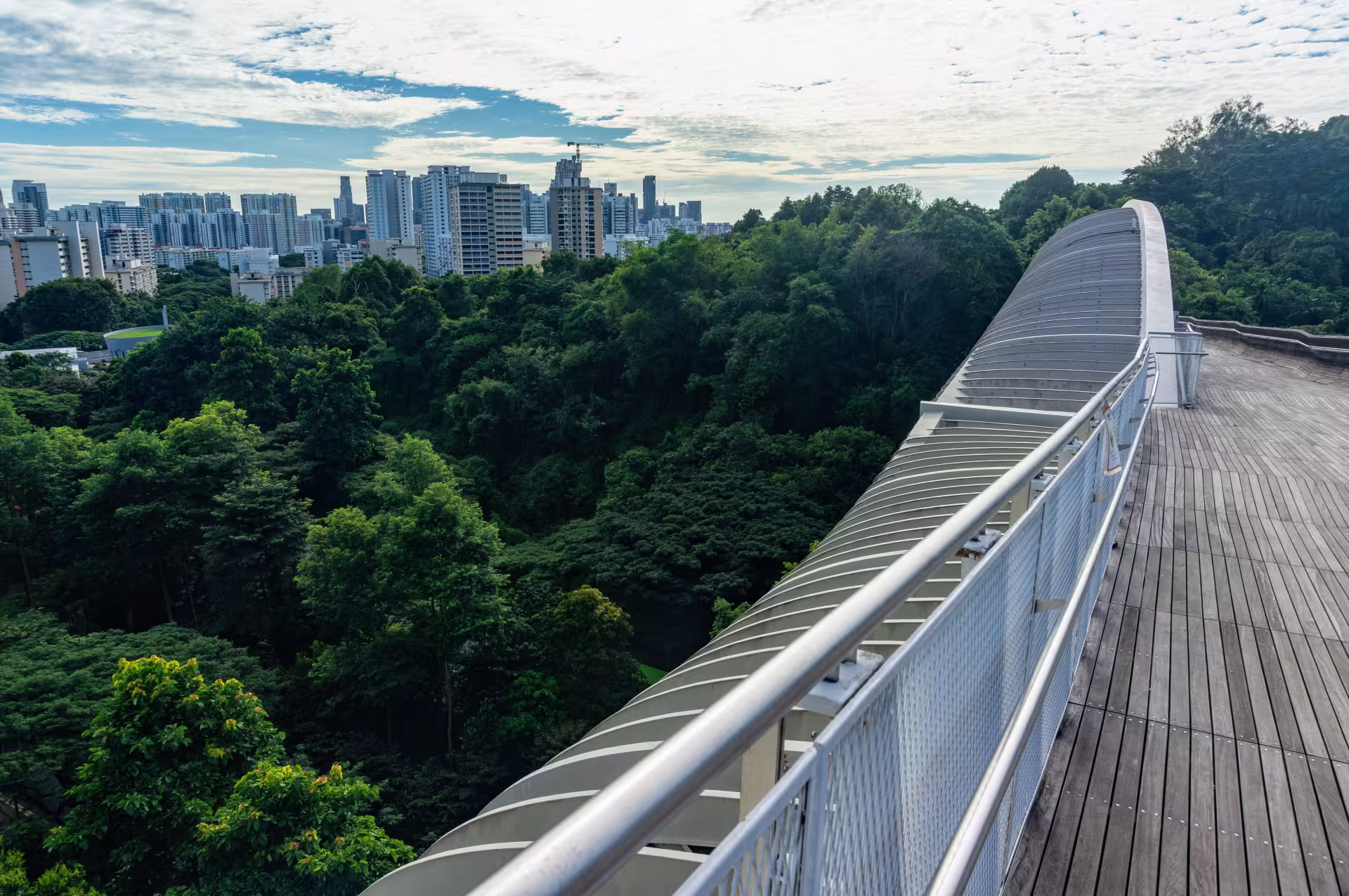 The view from Henderson Waves on the Southern Ridges hike